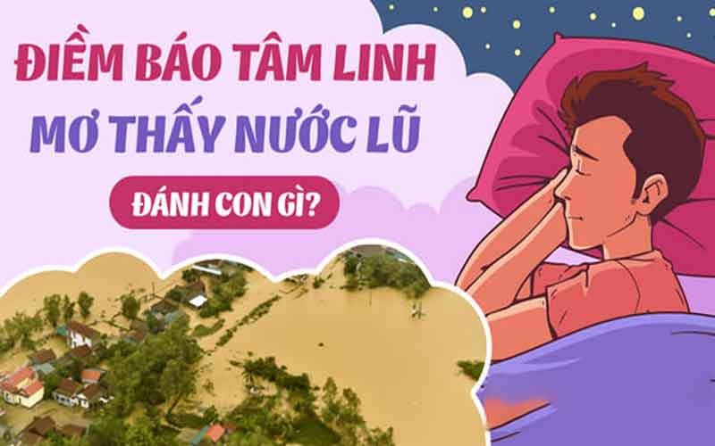 mơ thấy nước lớn đánh con gì chính xác